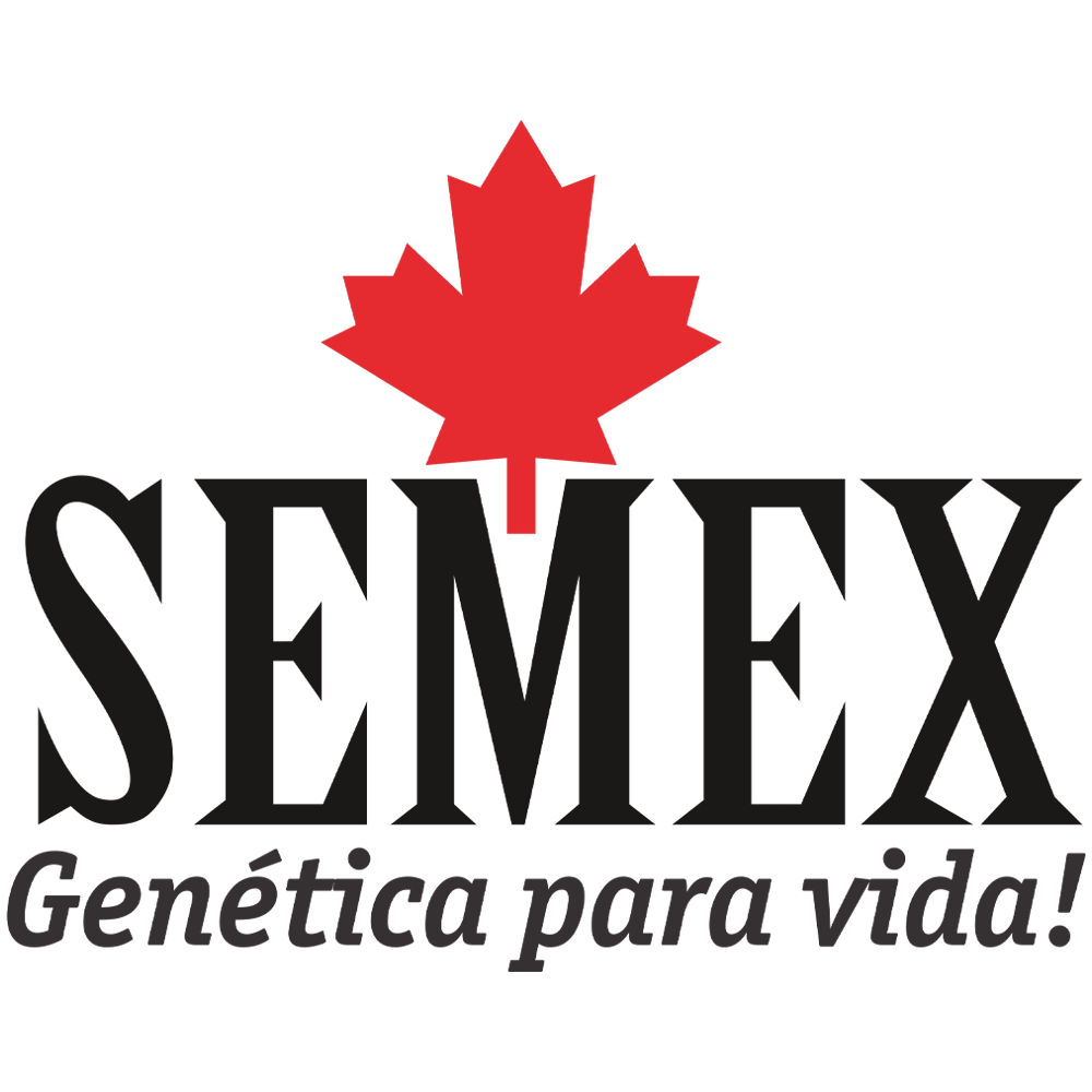 Semex Brasil