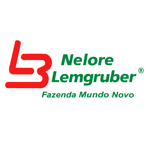 Lemgruber