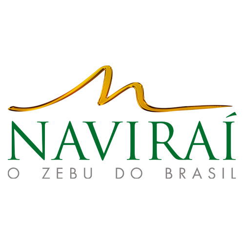 Naviraí